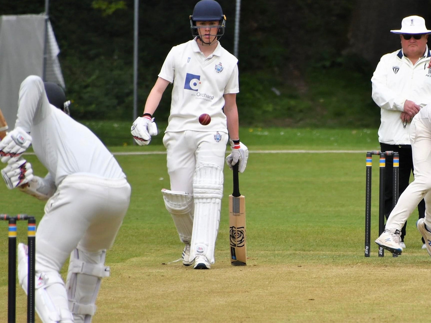 Classic Black Cricket Bat